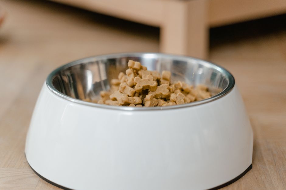 Granule Grain Free Losos 12kg